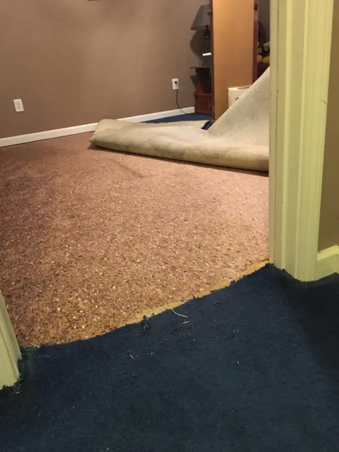 Carpet pad removal revealing water damage during Drying & Dehumidification in Universal City