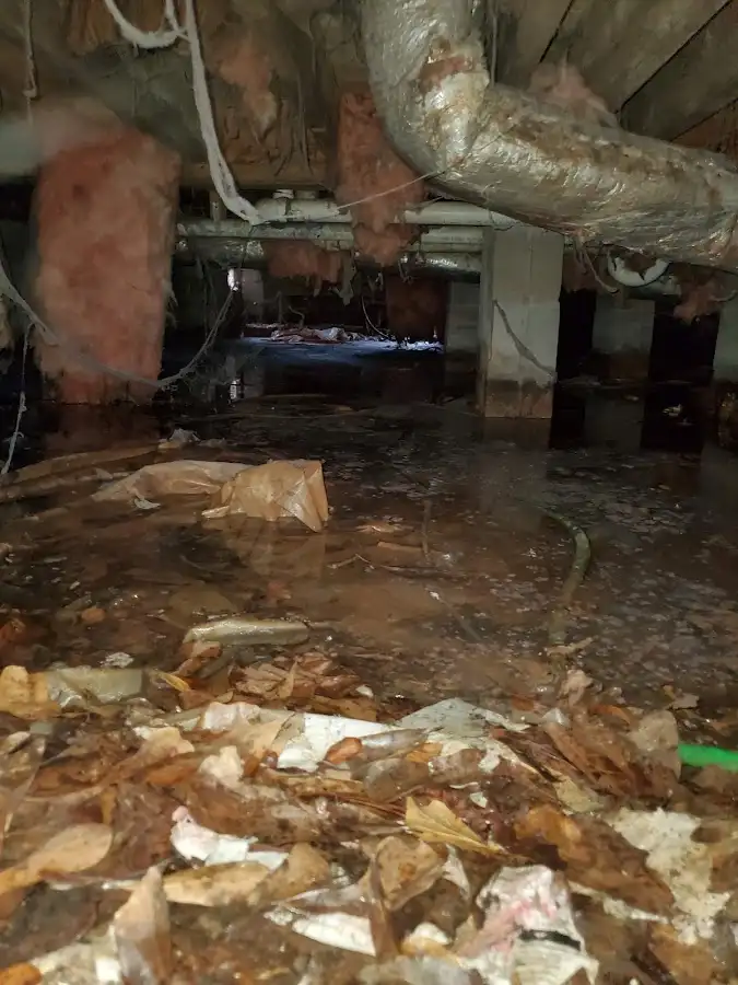 Crawl space flood assessment for Leak Detection & Repair in Universal City
